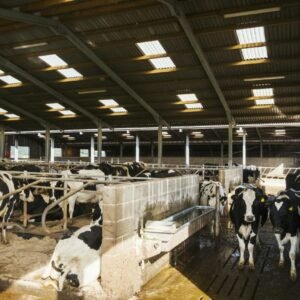 Experiencia de Cata y Venta Directa en Finca